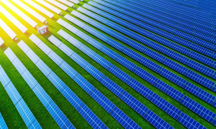 Unlocking the Economic Potential of Solar Farms in 2023