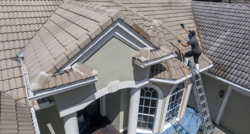 The Ultimate Guide to Choosing the Best Roof Cleaner