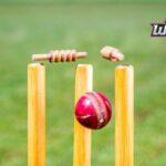 Fantasy Cricket vs. Betting: Which Is Right for You?