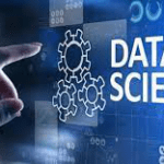 What is a Data Scientist’s Role?