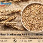 Global wheat market shall reach US$ 502.88 Billion by 2030, Size, Share, Outlook | Renub Research