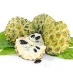 How Custard Apples Benefit the Body