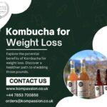 Unveiling the Power of Kombucha for Weight Loss: A Refreshing Journey with the Best Kombucha Drink in the UK