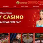 Exploring the Best Online Casino Apps in India with Khelraja