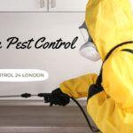 London Pest Control Services provides effective pest control services.