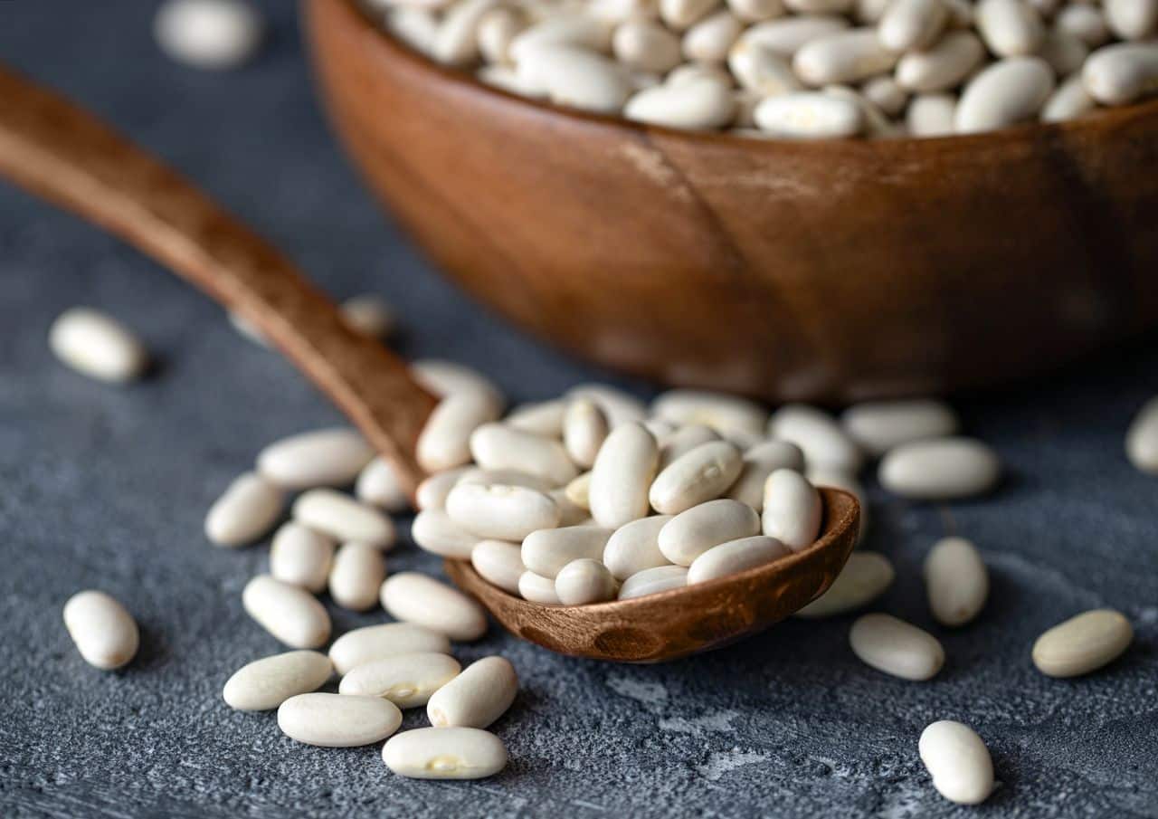 Northern Beans – Health Benefits and Adverse Effects