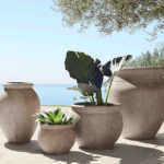 Enhancing Your Green Oasis: Choosing the Perfect Outdoor Pots