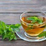 Incredible Peppermint Tea Benefits