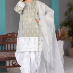 Pakistani Suits: A Fusion of Elegance and Tradition