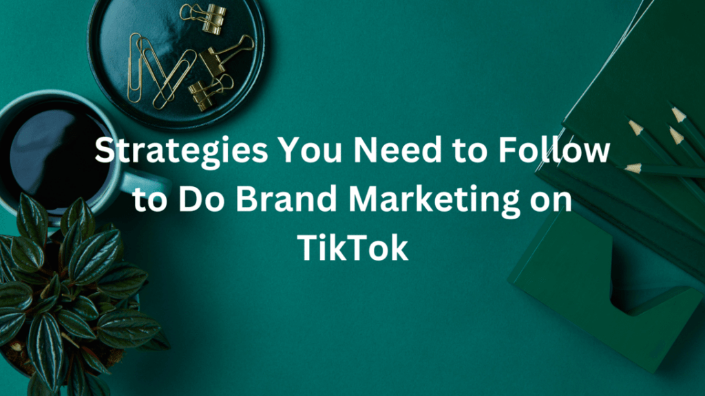 Strategies You Need to Follow to Do Brand Marketing on TikTok