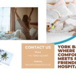 York B&B: Where Comfort Meets Pet-Friendly Hospitality