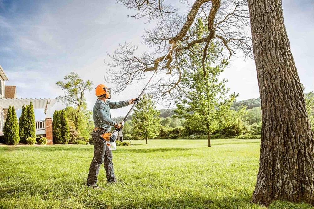 Pruning Perfection: The Arborist’s Guide to Tree Removal Excellence