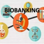 Europe Biobanking Market Size, Share, Trend, Forecast 2022–2032.