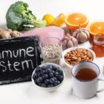 Best Supplements to Boost the Immune System