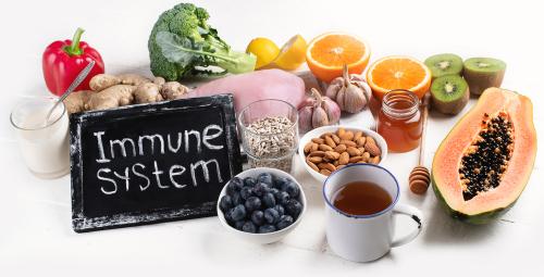 Best Supplements to Boost the Immune System