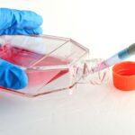 Unveiling the Dynamics of the Cell Culture Market