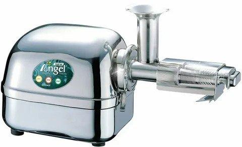 Get Your Juice On: Super Angel Pro Stainless Steel Juicer