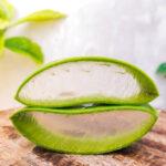 How Aloe Vera Can Benefit Your Health