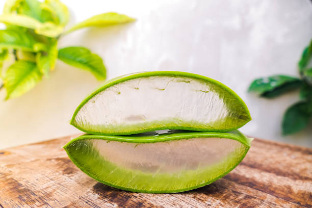 How Aloe Vera Can Benefit Your Health