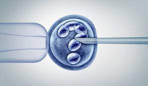 Finding Best IVF Clinic in Dubai: A Comprehensive Guide