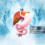 Navigating Digestive Health Excellence: A Gastroenterology Insight