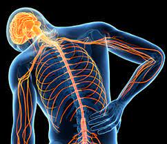 Chronic Pain: Causes, Symptoms and Treatment