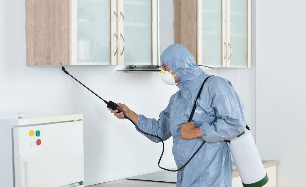 Choosing the Right Pest Control Companies in Abu Dhabi: Factors to Consider