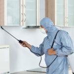 Choosing the Right Pest Control Companies in Abu Dhabi: Factors to Consider