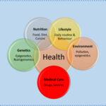 How do socio-economic factors affect health?