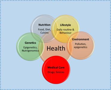 How do socio-economic factors affect health?