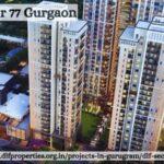 DLF Sector 77 Gurgaon: Luxurious 4 BHK Independent Floors