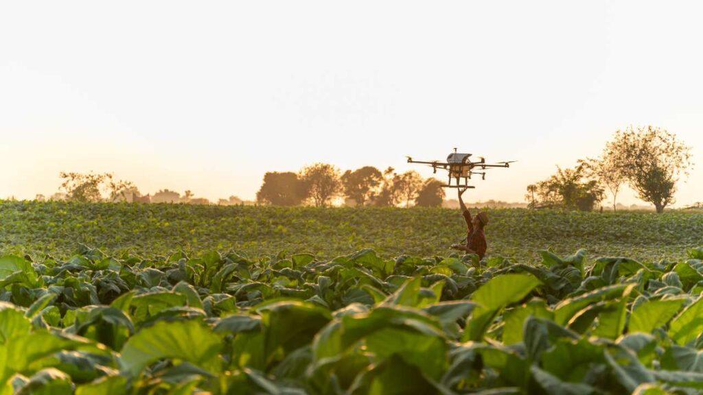 THE TRANSFORMATIVE IMPACT OF DRONES IN INDIAN AGRICULTURE INTRODUCTION