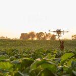 THE TRANSFORMATIVE IMPACT OF DRONES IN INDIAN AGRICULTURE INTRODUCTION