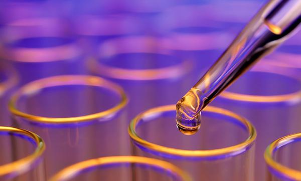 Latest Trends in Biological Assay Development: From Cell-Based Assays to High-Throughput Screening