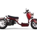 What Makes the Icebear Maddog 150cc Stand Out?