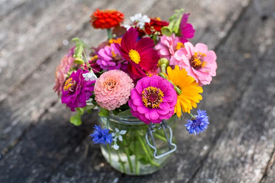 Global Cut Flowers Market Size, Share, Trend and Forecast 2022-2032