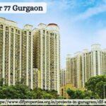 DLF Sector 77 Gurgaon: 4 BHK Luxury Residence