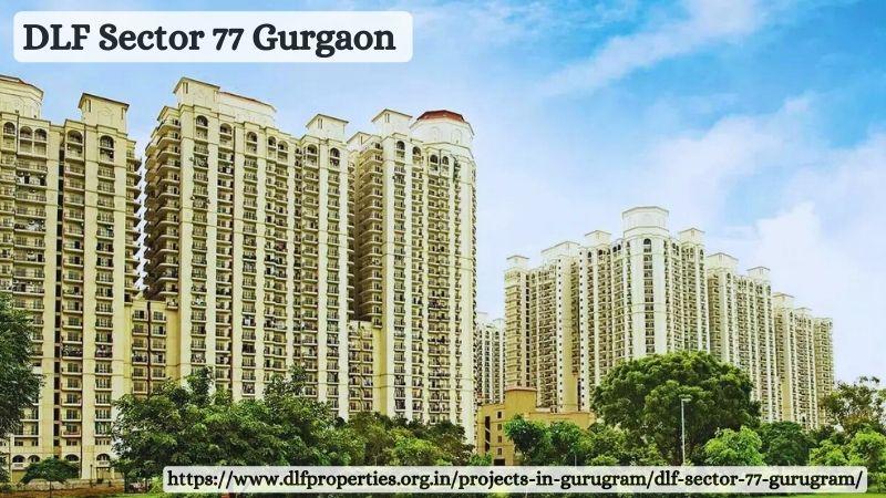 DLF Sector 77 Gurgaon: 4 BHK Luxury Residence