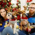 Decide whether to get a pet for your family this Christmas