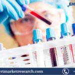 Diagnostic Testing Market Size, Share, Price, Trends, Growth, Analysis, Report and Forecast 2024-2032