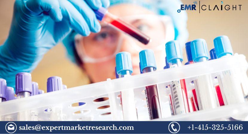 Diagnostic Testing Market Size, Share, Price, Trends, Growth, Analysis, Report and Forecast 2024-2032