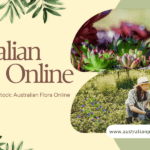 Discover Vibrant Tubestock: Australian Flora Online