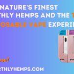 Inhale Nature’s Finest: Earthly Hemps and the THCA Disposable Vape Experience