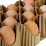 Egg Packaging Market Size, Share & Forecast Report 2023-28