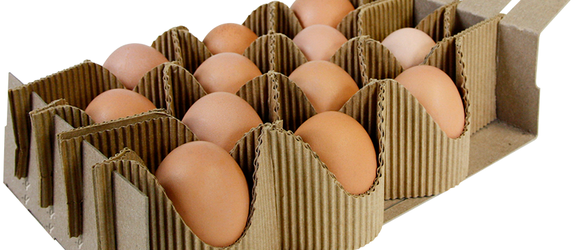 Egg Packaging Market Size, Share & Forecast Report 2023-28