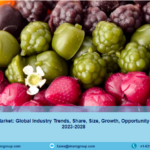 Global Fruit Snacks Market Size, Share | Growth Report 2023-28