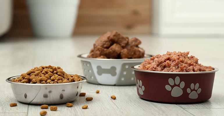 Global Pet Food Ingredients Market Size, Share, Trend and Forecast 2021-2030.