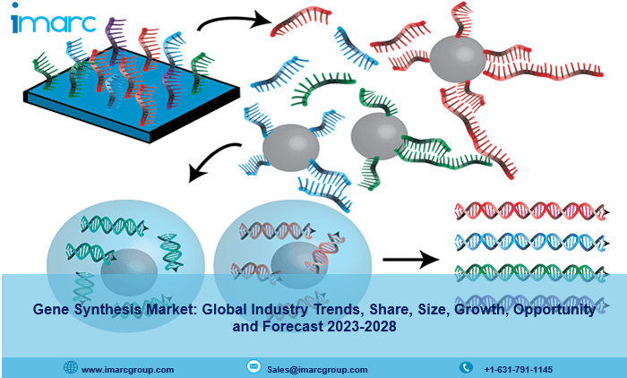 Gene Synthesis Market Share, Size, Growth, Opportunity and Forecast 2023-2028