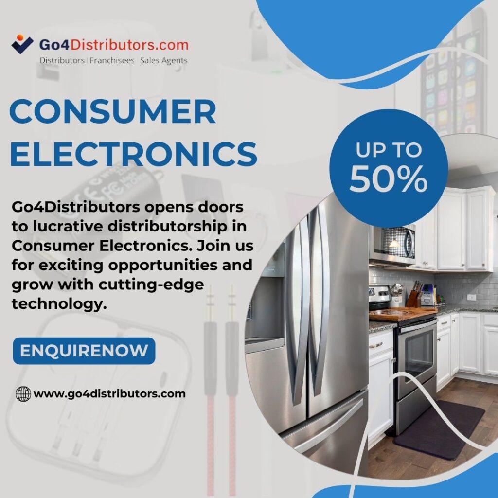 What are the different types of Consumer Electronics Distributorship models Available?