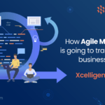 How Agile Methodology is Going to Transform Your Business Operations: Xcelligen’s Approach